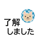 ずっと使えるゆる敬語★でか字で癒しの犬（個別スタンプ：4）