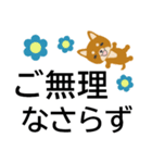 ずっと使えるゆる敬語★でか字で癒しの犬（個別スタンプ：14）