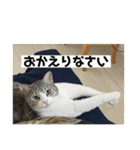 タイガーとよそもの日和（個別スタンプ：10）