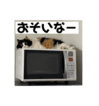 タイガーとよそもの日和（個別スタンプ：20）