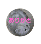 ライチくんのきもち（個別スタンプ：1）