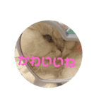 ライチくんのきもち（個別スタンプ：2）