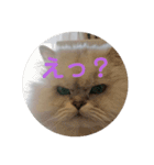 ライチくんのきもち（個別スタンプ：3）