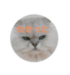 ライチくんのきもち（個別スタンプ：4）