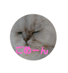 ライチくんのきもち（個別スタンプ：5）