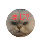 ライチくんのきもち（個別スタンプ：6）