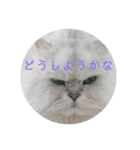ライチくんのきもち（個別スタンプ：8）