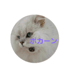 ライチくんのきもち（個別スタンプ：9）