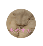 ライチくんのきもち（個別スタンプ：11）