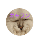 ライチくんのきもち（個別スタンプ：13）