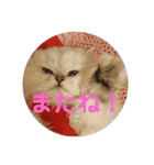 ライチくんのきもち（個別スタンプ：14）
