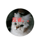 ライチくんのきもち（個別スタンプ：15）