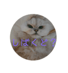 ライチくんのきもち（個別スタンプ：16）