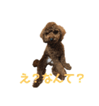 12.ハル（個別スタンプ：3）