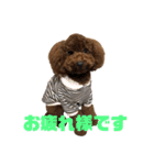 12.ハル（個別スタンプ：5）