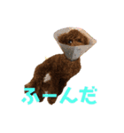 12.ハル（個別スタンプ：7）