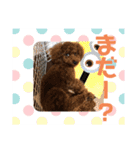 12.ハル（個別スタンプ：14）