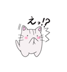しろトラにゃんこの日常使えるスタンプ（個別スタンプ：17）