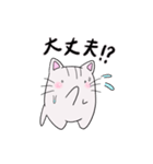 しろトラにゃんこの日常使えるスタンプ（個別スタンプ：18）