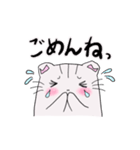 しろトラにゃんこの日常使えるスタンプ（個別スタンプ：20）