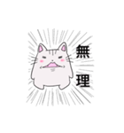 しろトラにゃんこの日常使えるスタンプ（個別スタンプ：21）