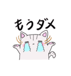 しろトラにゃんこの日常使えるスタンプ（個別スタンプ：22）