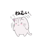 しろトラにゃんこの日常使えるスタンプ（個別スタンプ：24）
