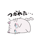 しろトラにゃんこの日常使えるスタンプ（個別スタンプ：25）