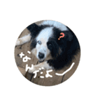 やなお家の愉快などうぶつたち②（個別スタンプ：2）