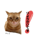 Dep 里親様スタンプ 猫ver③敬語版（個別スタンプ：7）