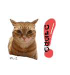 Dep 里親様スタンプ 猫ver③（個別スタンプ：7）