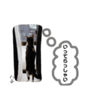 Dep 里親様スタンプ 猫ver③（個別スタンプ：17）