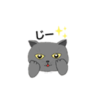 きのこのねこ3（個別スタンプ：3）