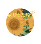 我が家のアイドル日常スタンプ2（個別スタンプ：1）