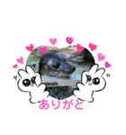 我が家のアイドル日常スタンプ2（個別スタンプ：7）