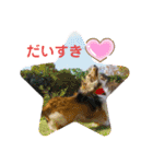 我が家のアイドル日常スタンプ2（個別スタンプ：14）