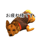 マルクス 野犬の心得（個別スタンプ：23）