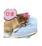 りぼん生活（個別スタンプ：7）