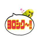 ☆第7弾☆かわいい☆セキセイインコ（個別スタンプ：5）