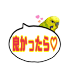 ☆第7弾☆かわいい☆セキセイインコ（個別スタンプ：7）