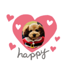 Coco no pū-san（個別スタンプ：11）