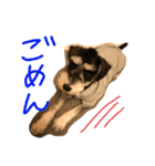 こんぶととらじろう（個別スタンプ：4）