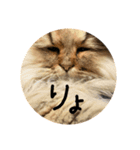 こんぶととらじろう（個別スタンプ：8）