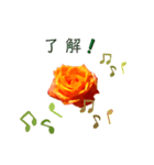 オレンジ色の薔薇（個別スタンプ：2）