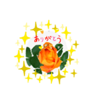 オレンジ色の薔薇（個別スタンプ：8）