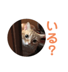 わたなべ家☆4（個別スタンプ：2）