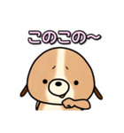 犬のイヌイッヌ（個別スタンプ：34）