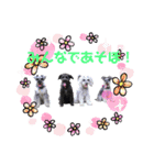 13.Lek（個別スタンプ：13）