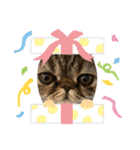 herme's diary 1（個別スタンプ：8）