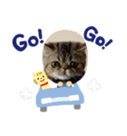 herme's diary 1（個別スタンプ：15）